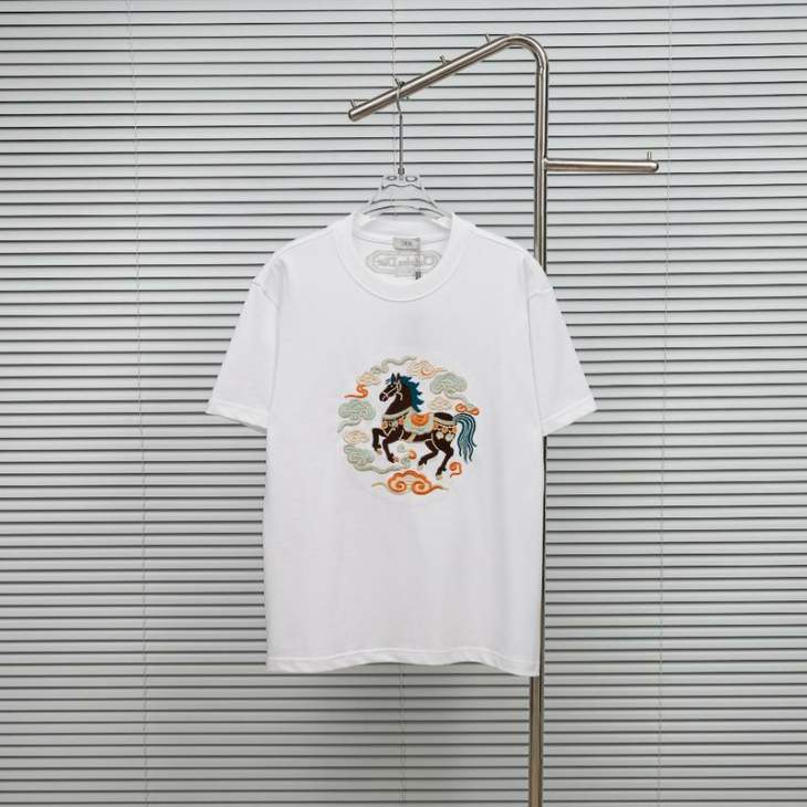 Picture of Dior T Shirts Short _SKUDiorS-2XLxetr22915927